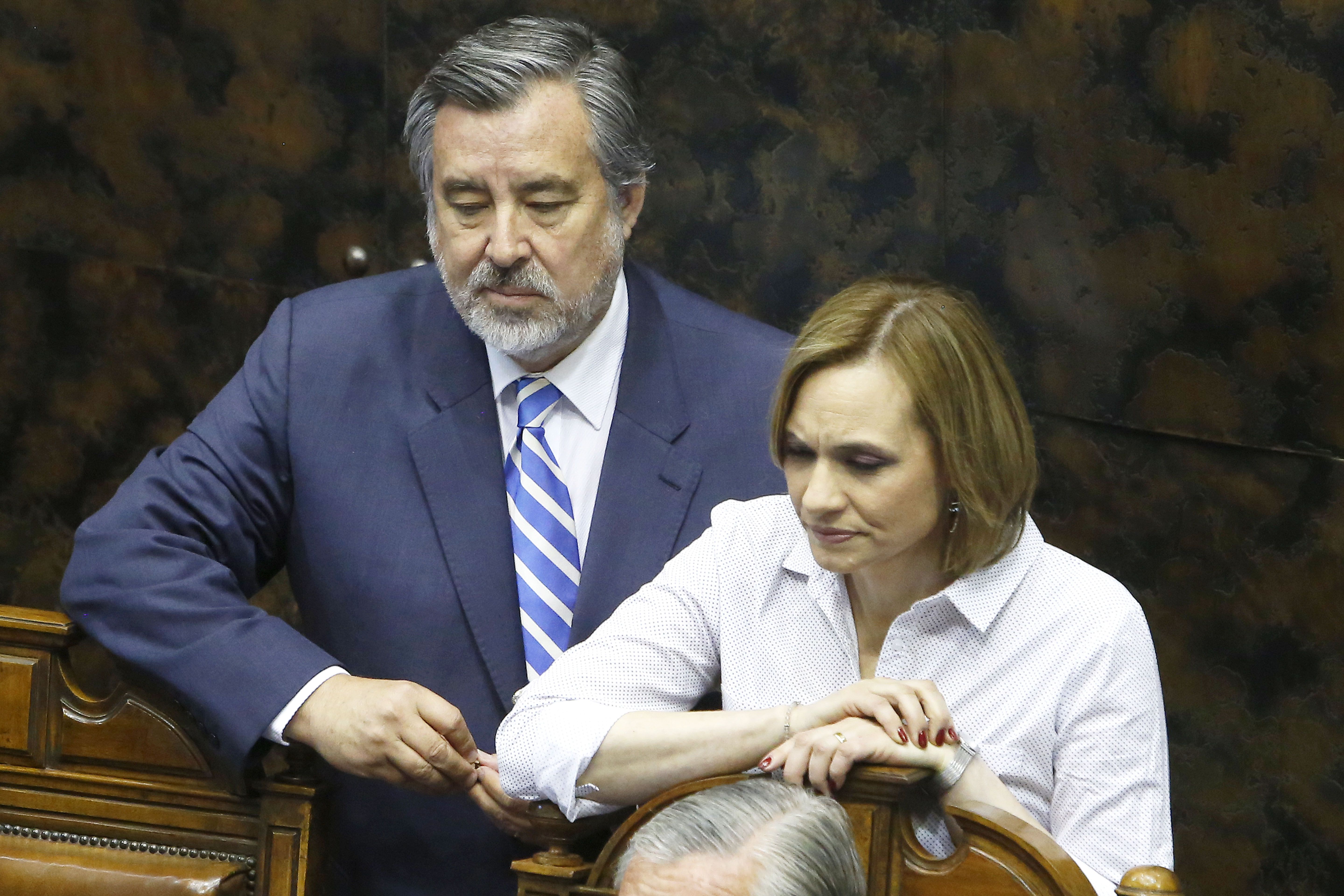 Congreso nacional sesion del senado 25-1-2017