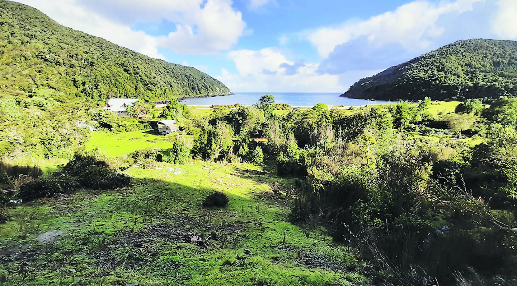 Caleta condor