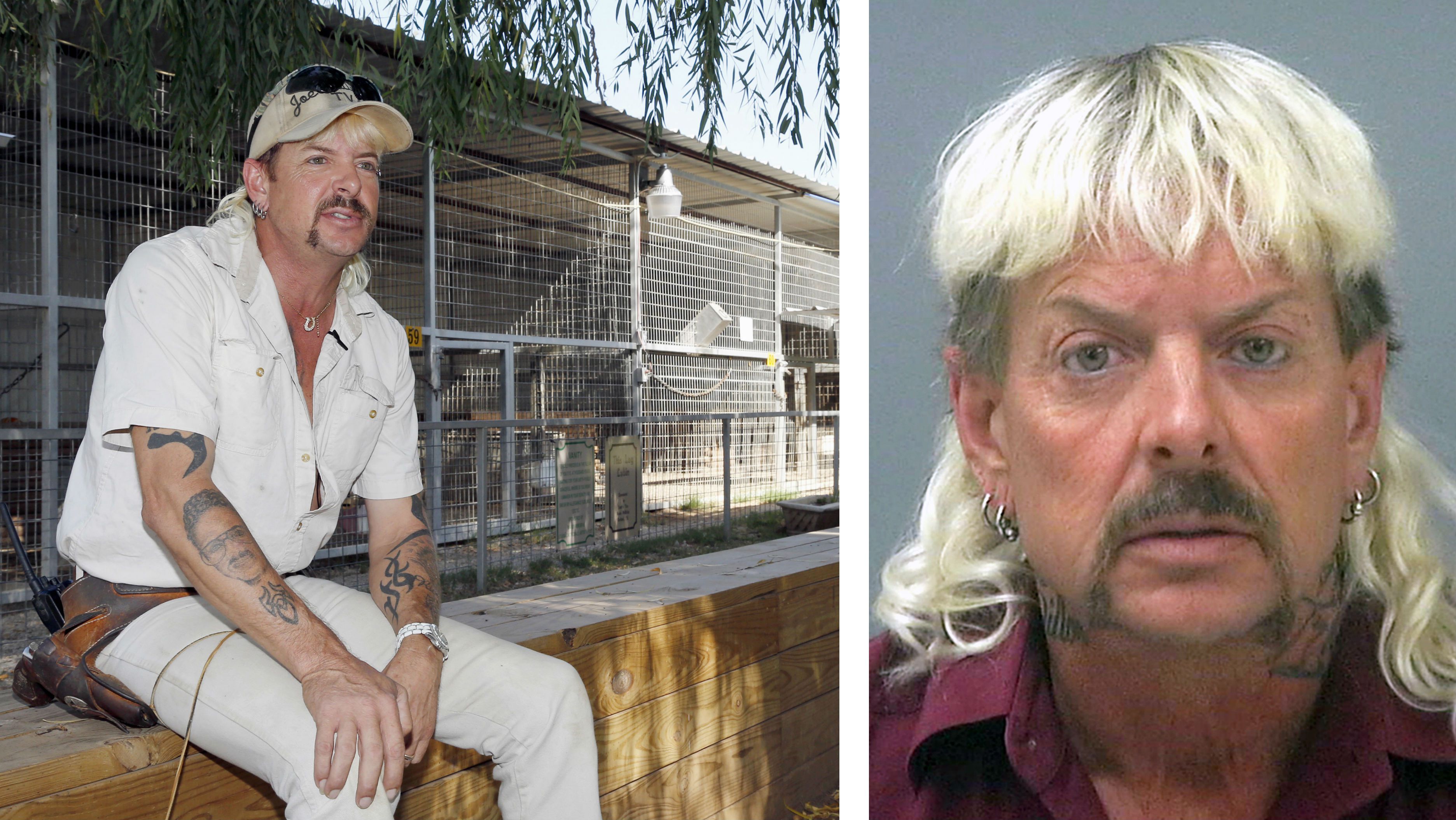 Tiger King: Joe Exotic Tried To Breed A Sabertooth (What Happened?)