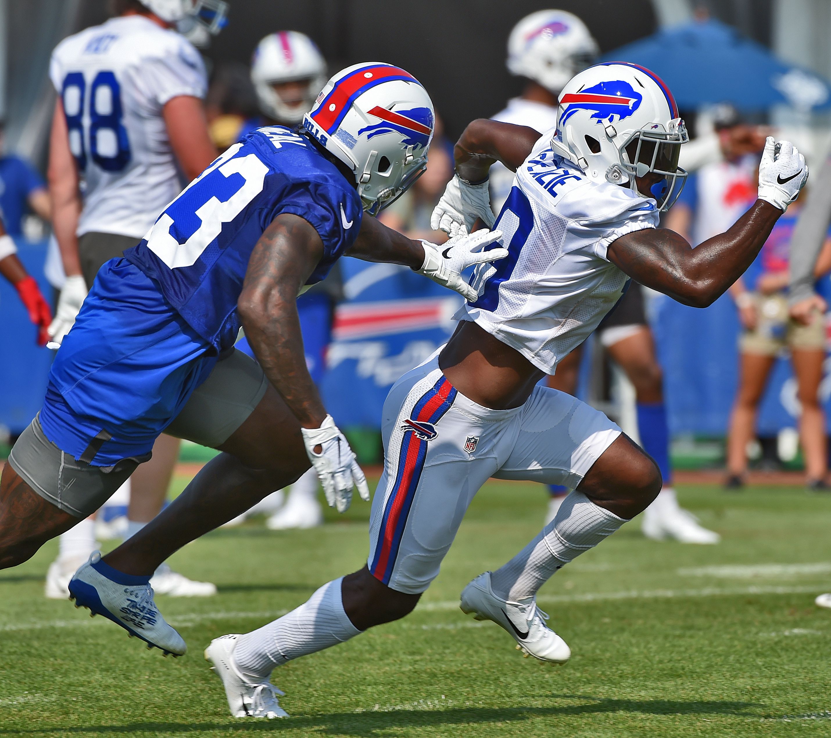 UB Connect - Rochester: UB Alumni Party at Buffalo Bills Training Camp