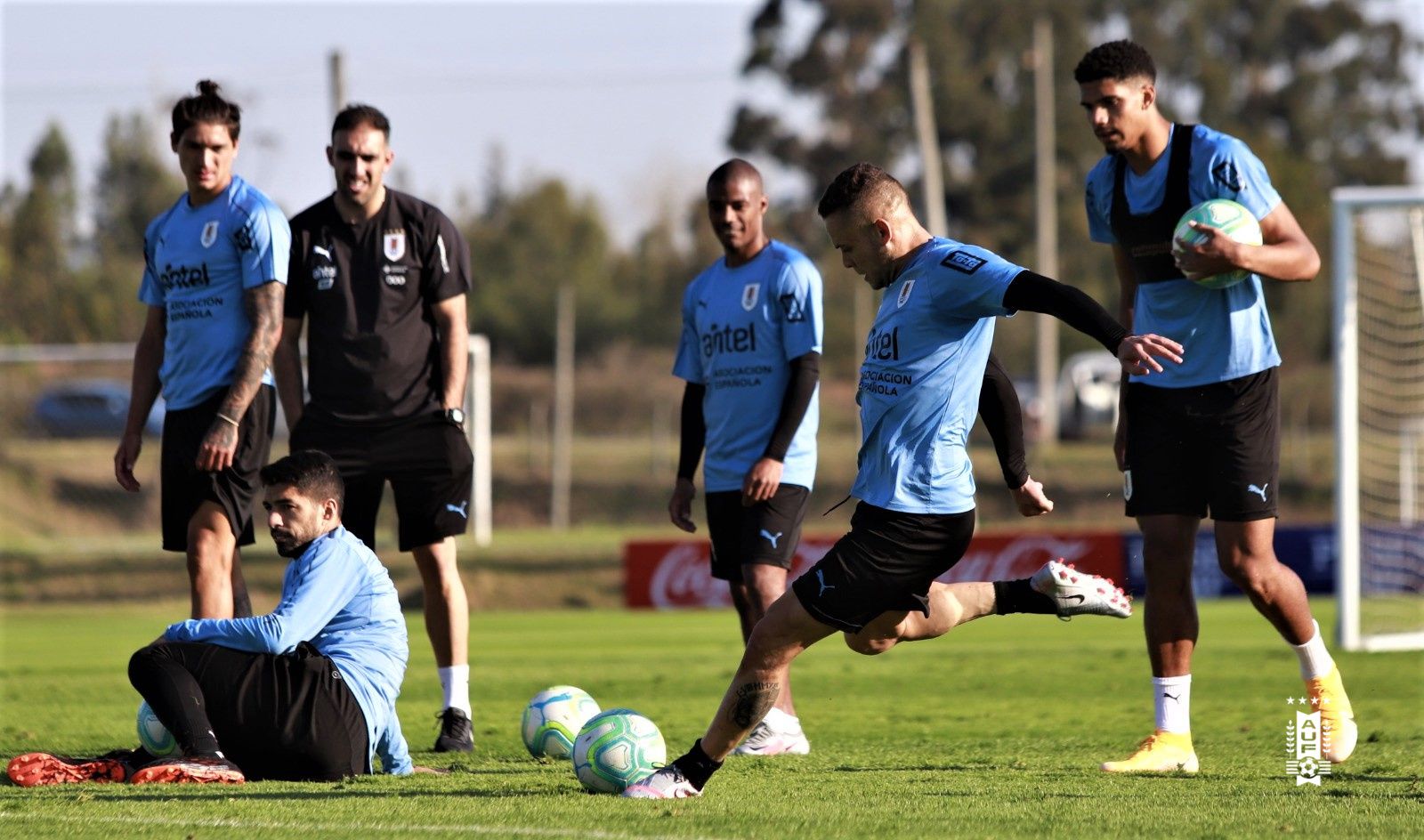 Selección uruguaya