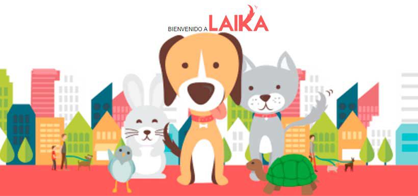 laika