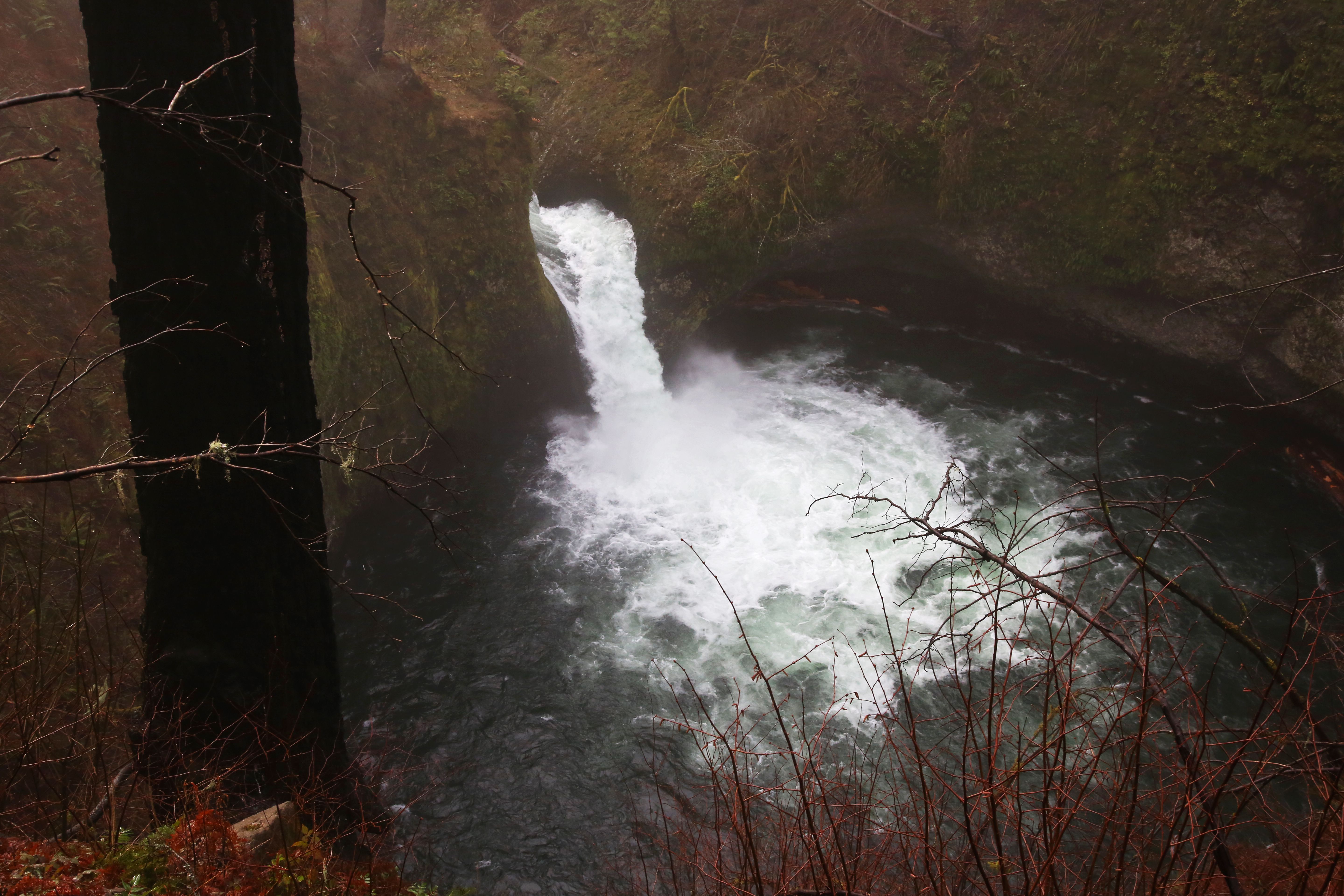 What you need to know before hiking the reopened Eagle Creek Trail 