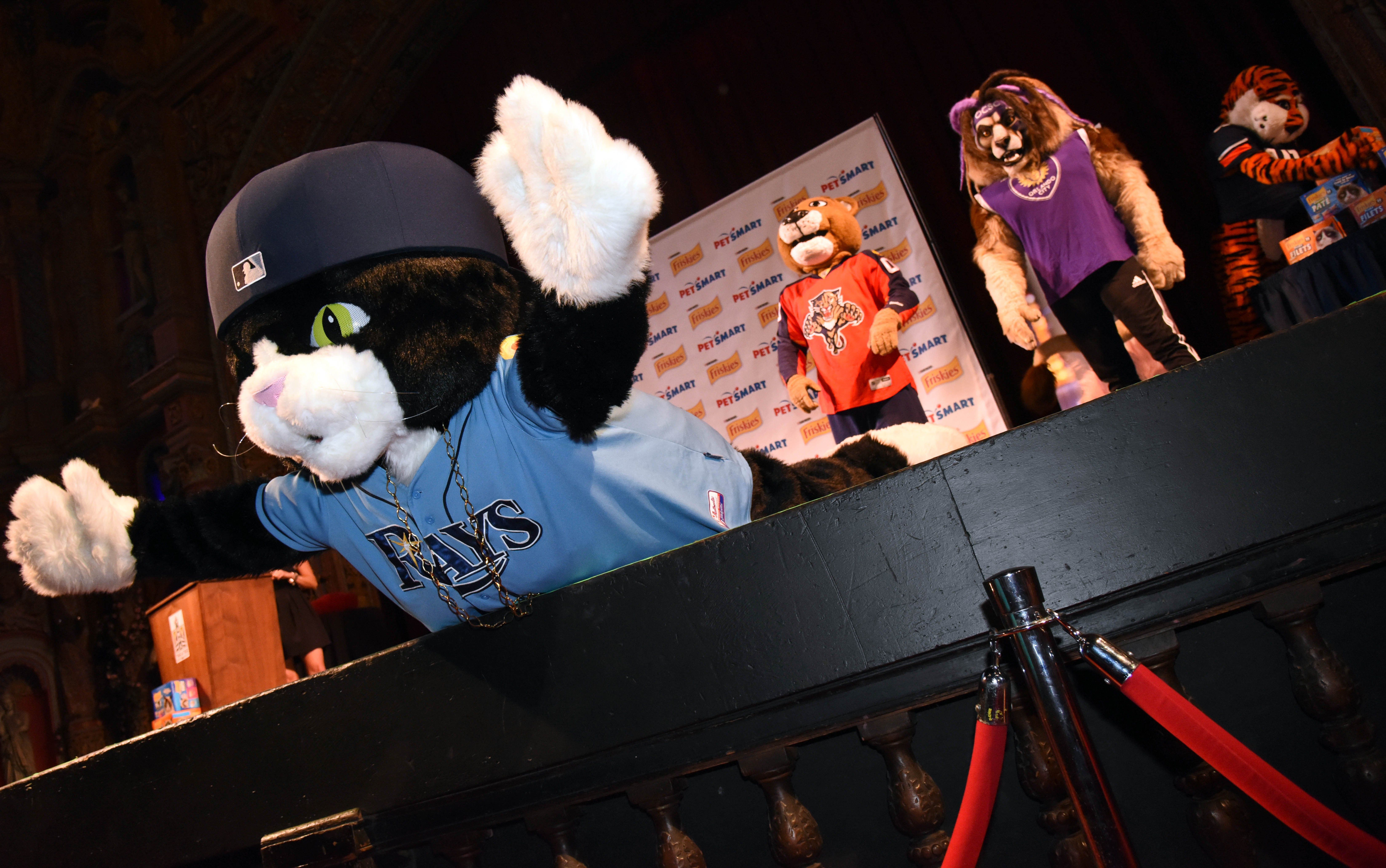 The Tampa Bay Rays Mascots - Raymond and DJ Kitty