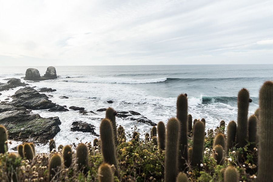 pichilemu-fotos-radriografia-filantropia-verde.jpg