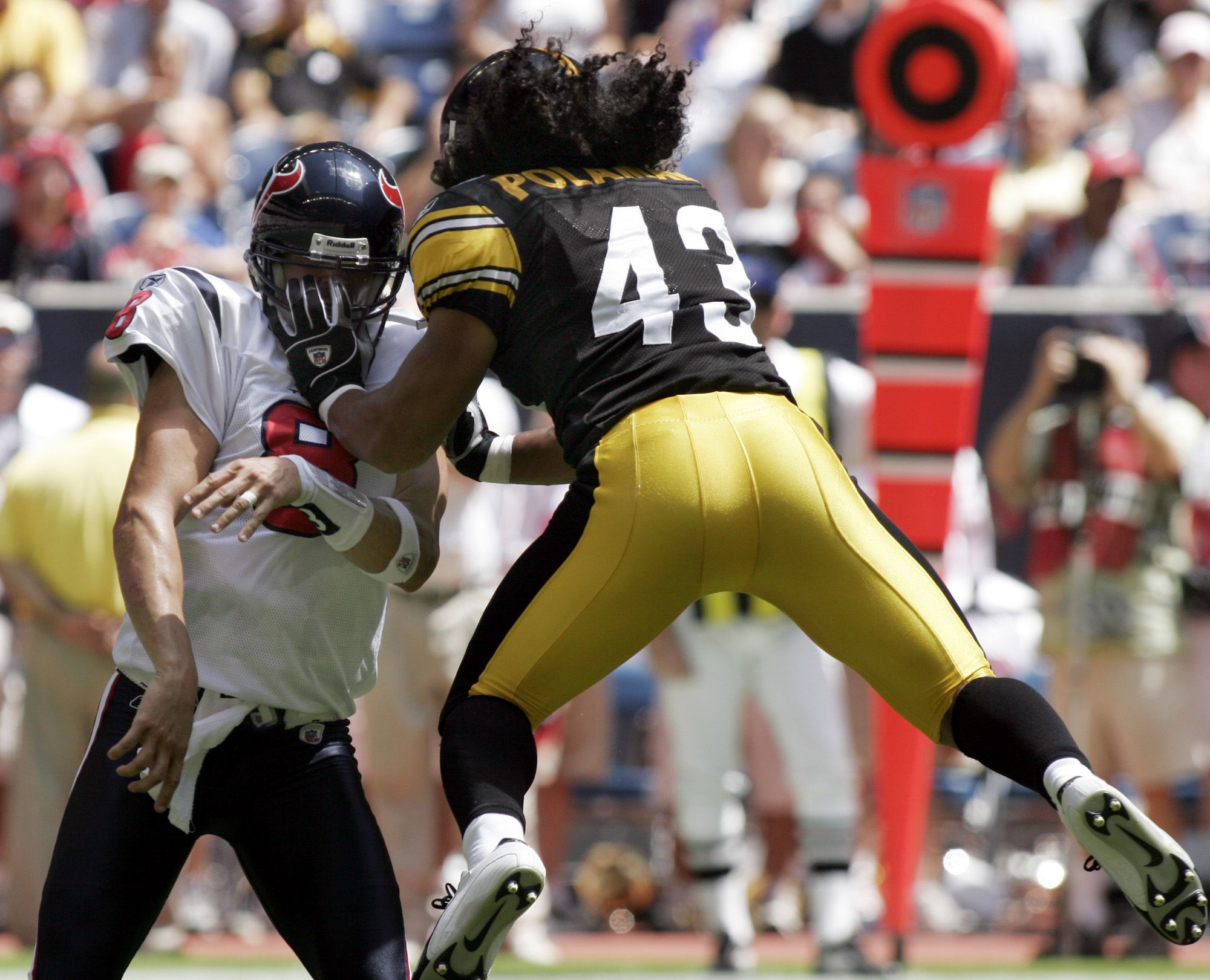 Tom Brady lobbies hard for Troy Polamalu to get into NFL Hall of Fame