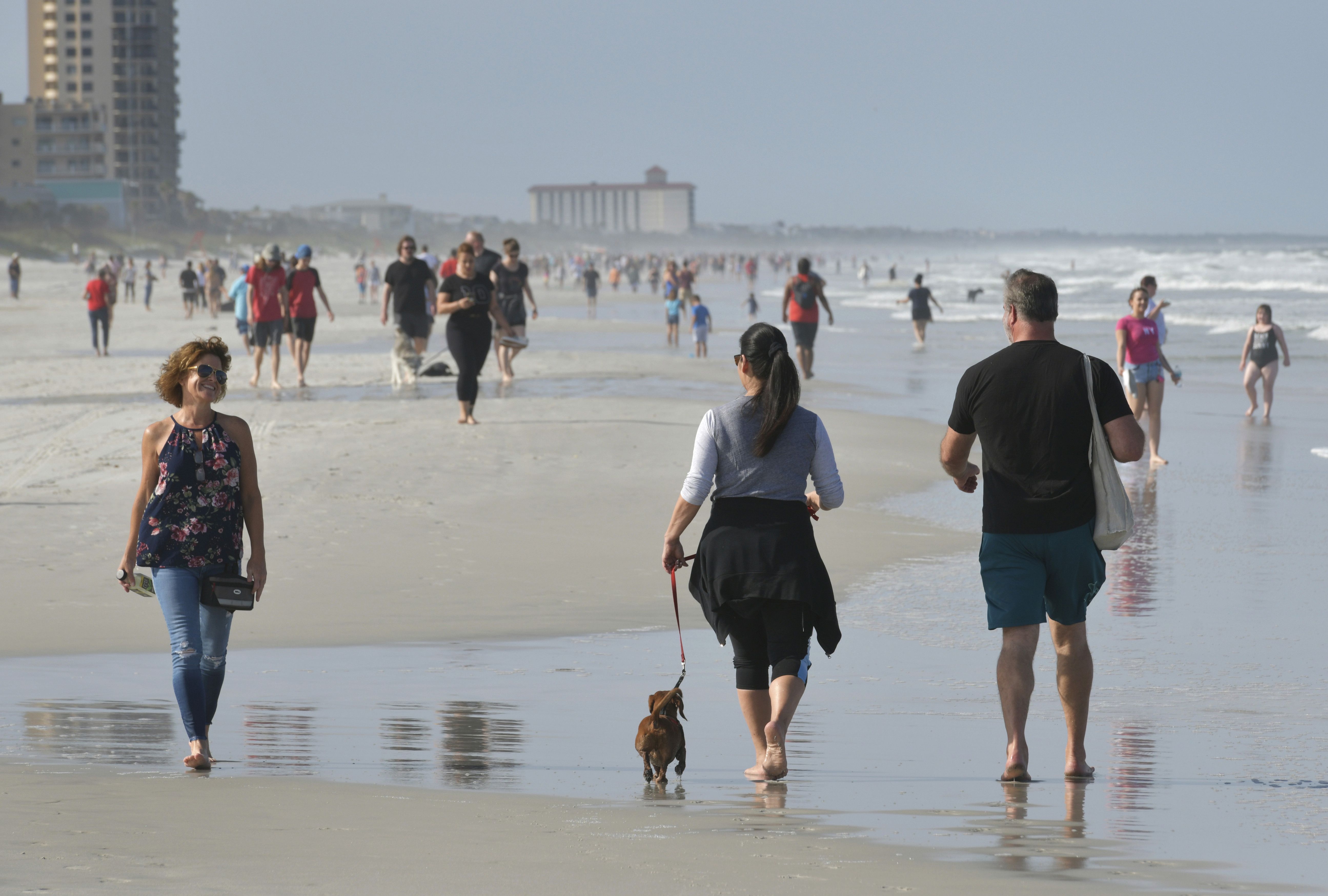 what beaches in jacksonville allow dogs