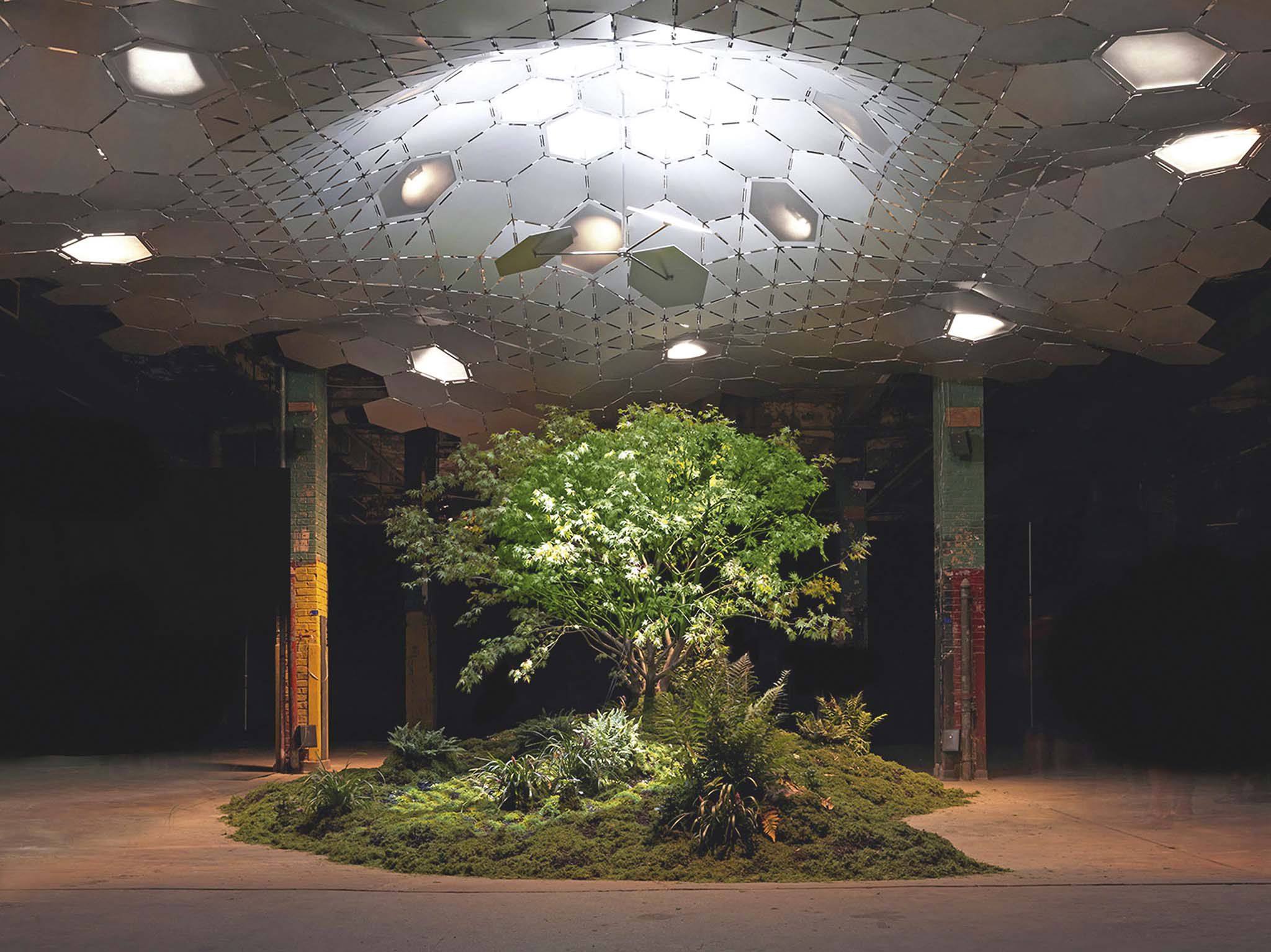 Lowline