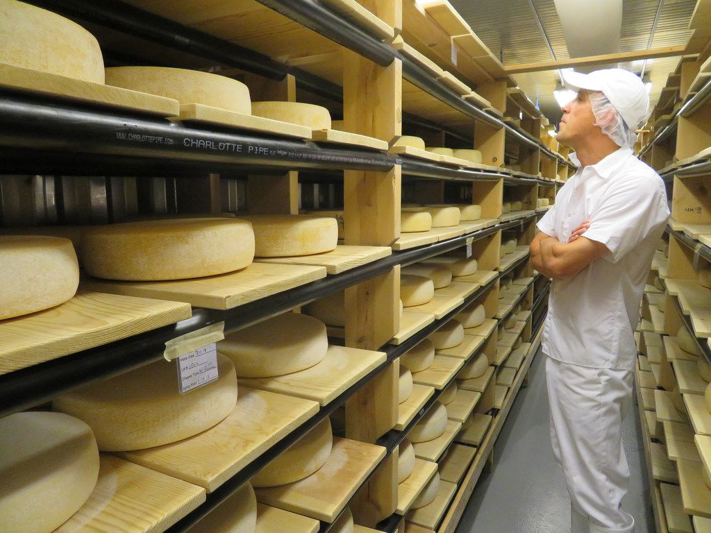 Cheesemaker tours are a tasty endeavor in northern California
