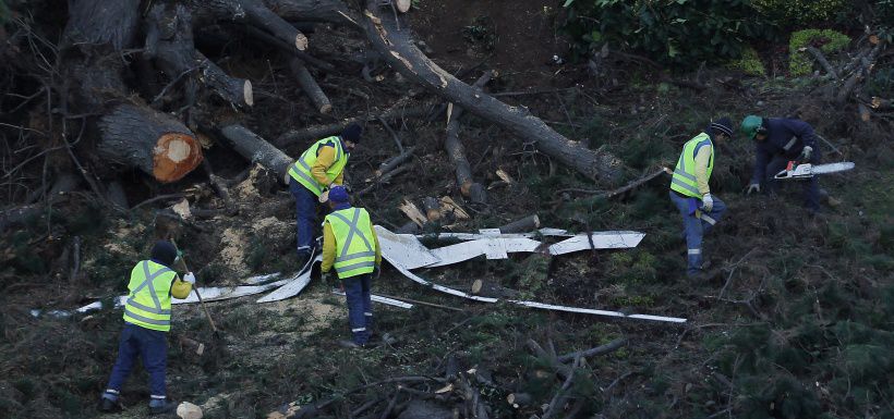 Arbol caido da–a reloj de flores en Vi–a del Mar