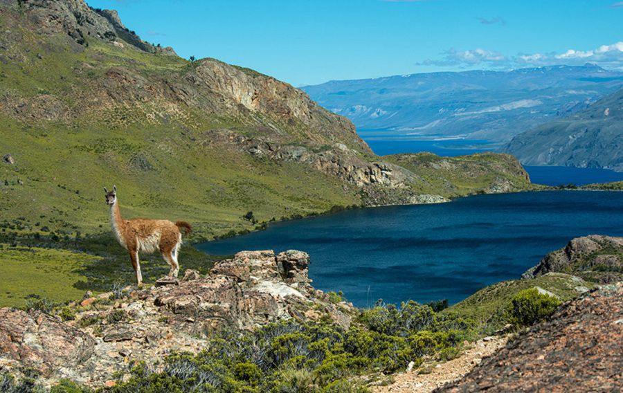 Parque Patagonia 1