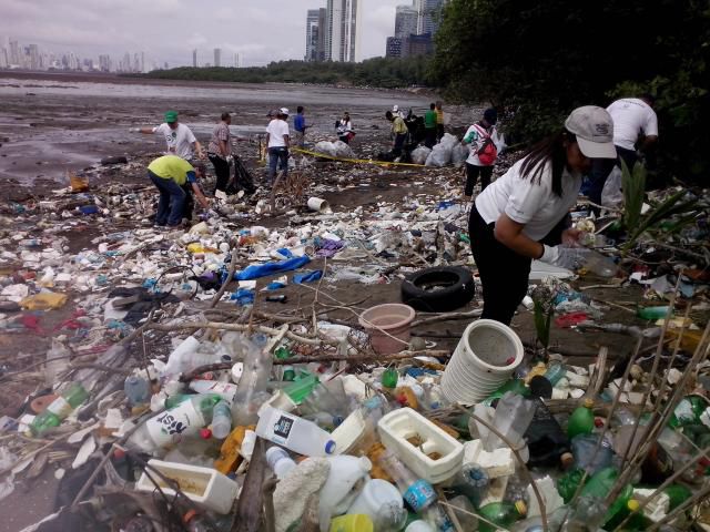 Búsqueda de Tema  La Prensa Panamá