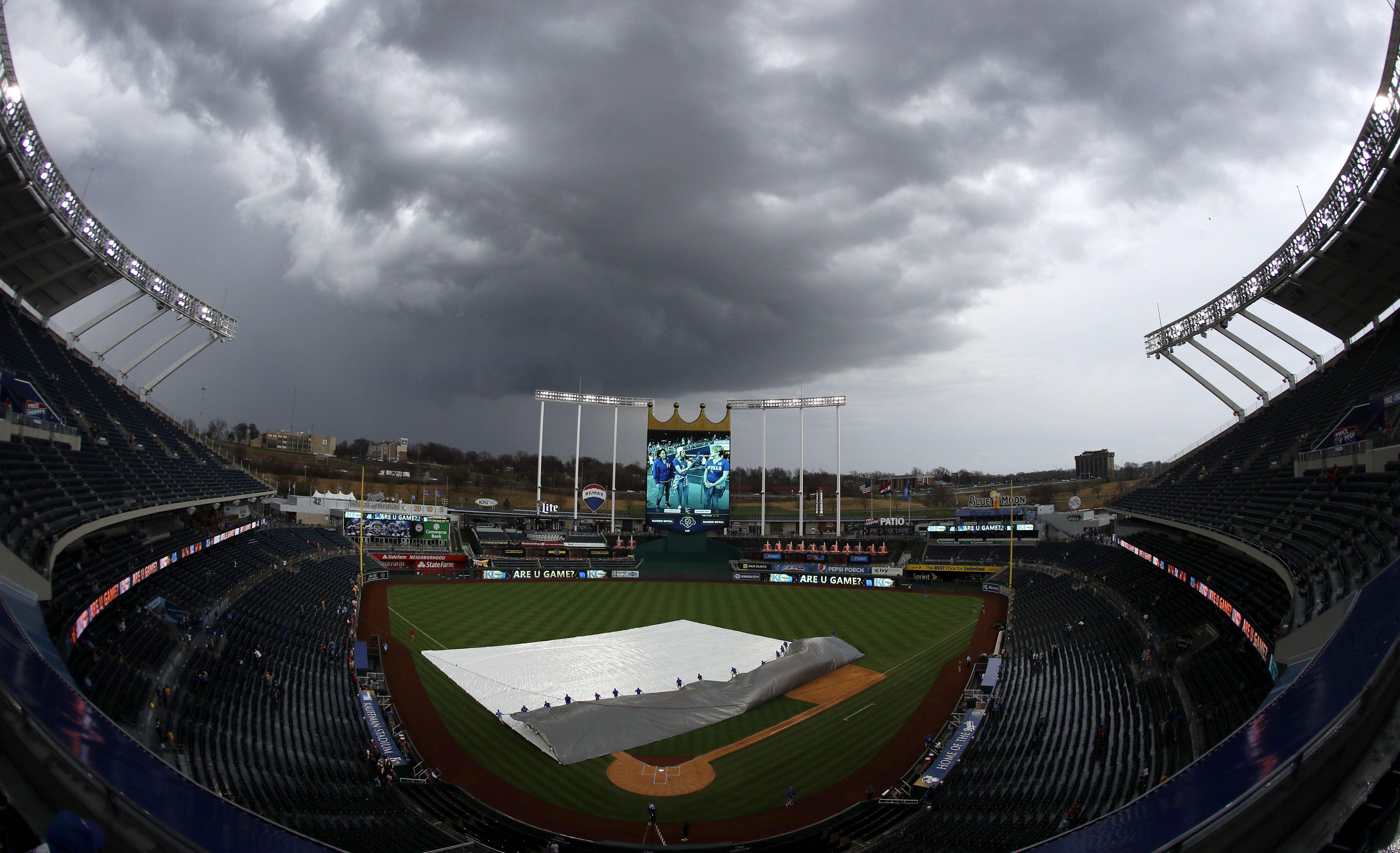 Rays to extend protective netting