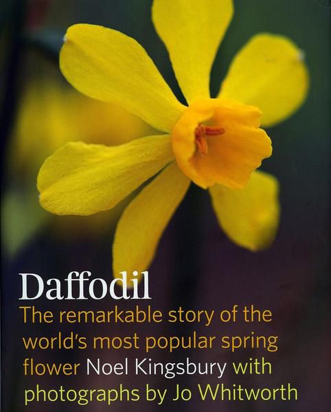 Popular Daffodil Types, Plus How to Care for Daffodils