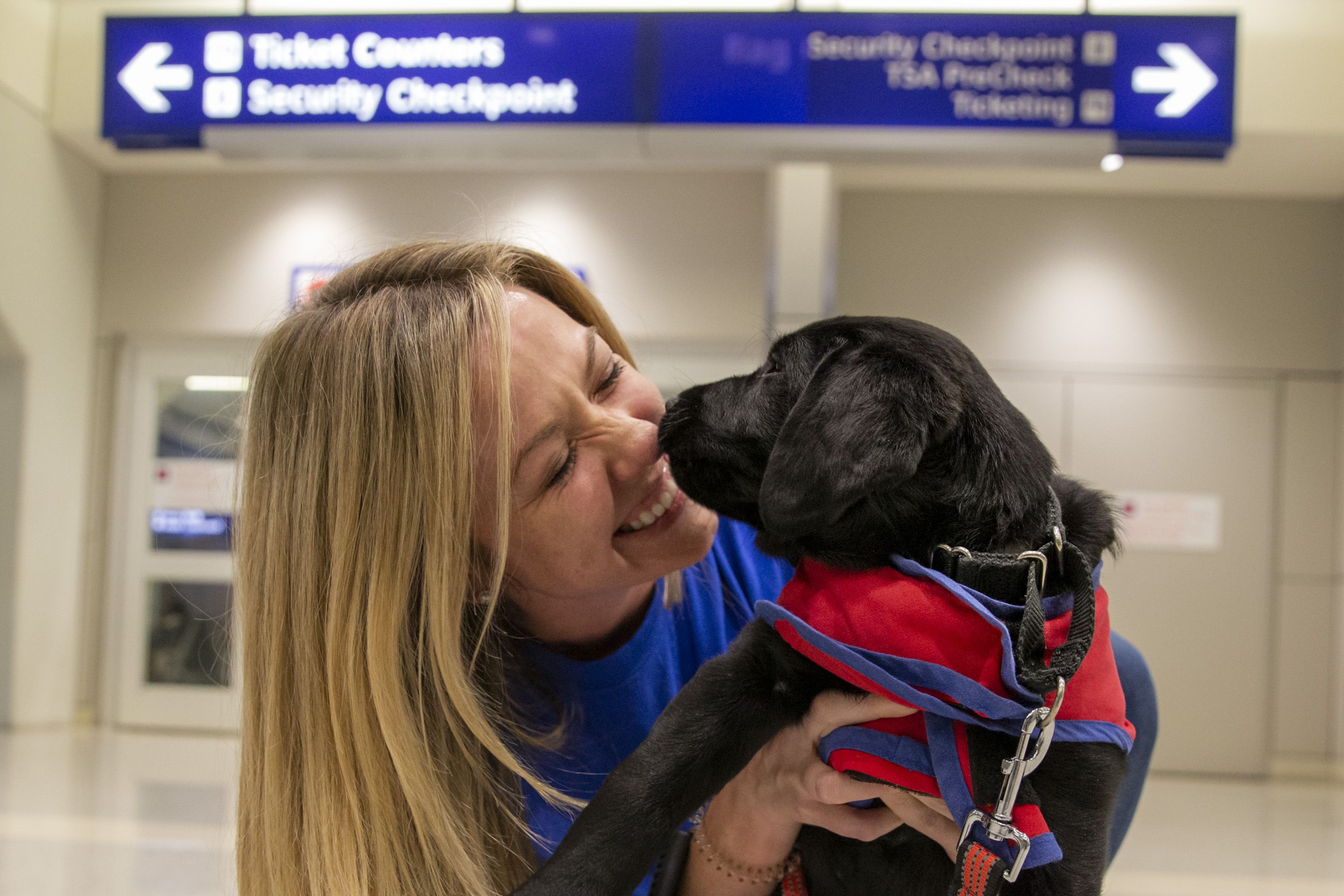 can i travel with a 8 week old puppy on a flight