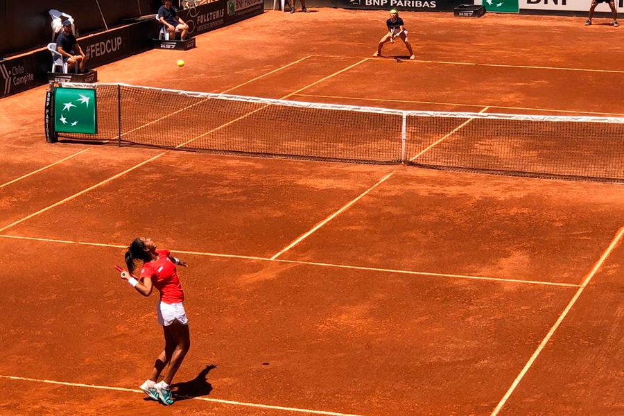 Daniela Seguel, Fed Cup