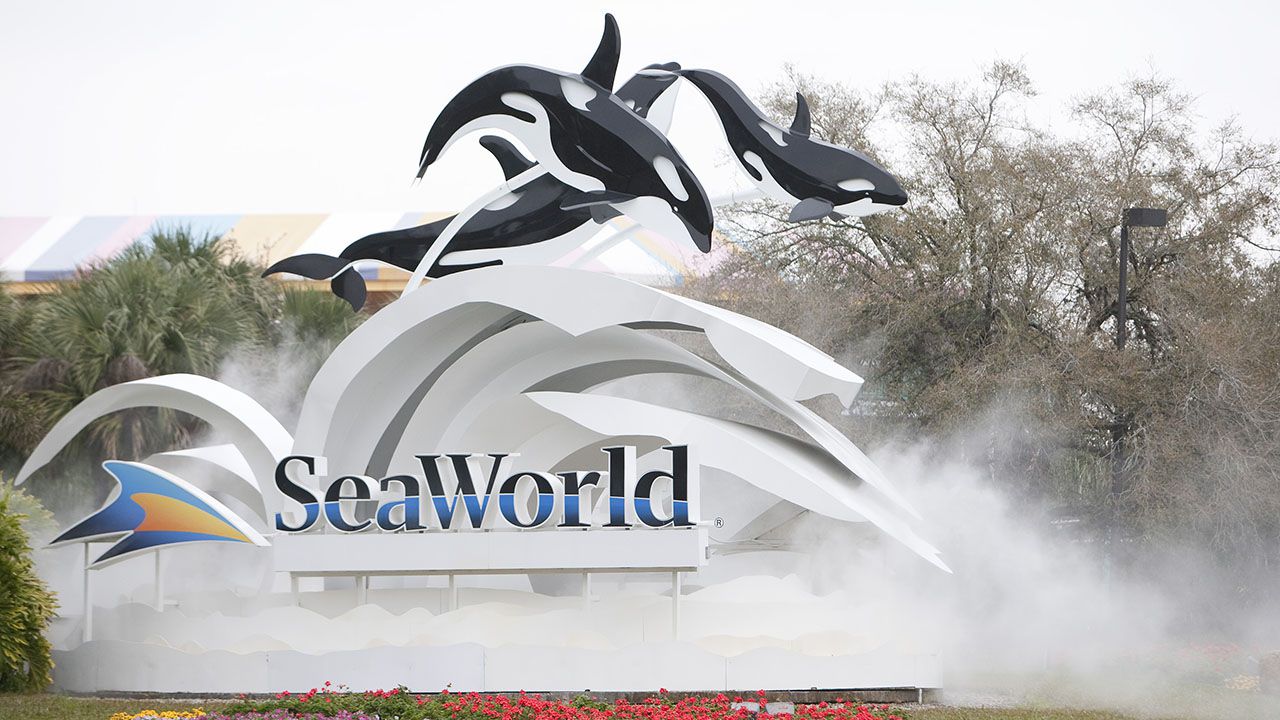 SeaWorld, Busch Gardens: Free admission available for veterans now