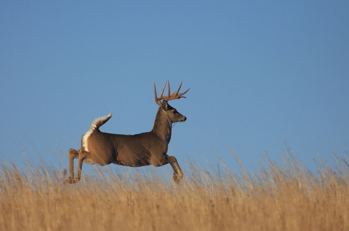 For Mountains Near Dallas Visit Medicine Park Okla