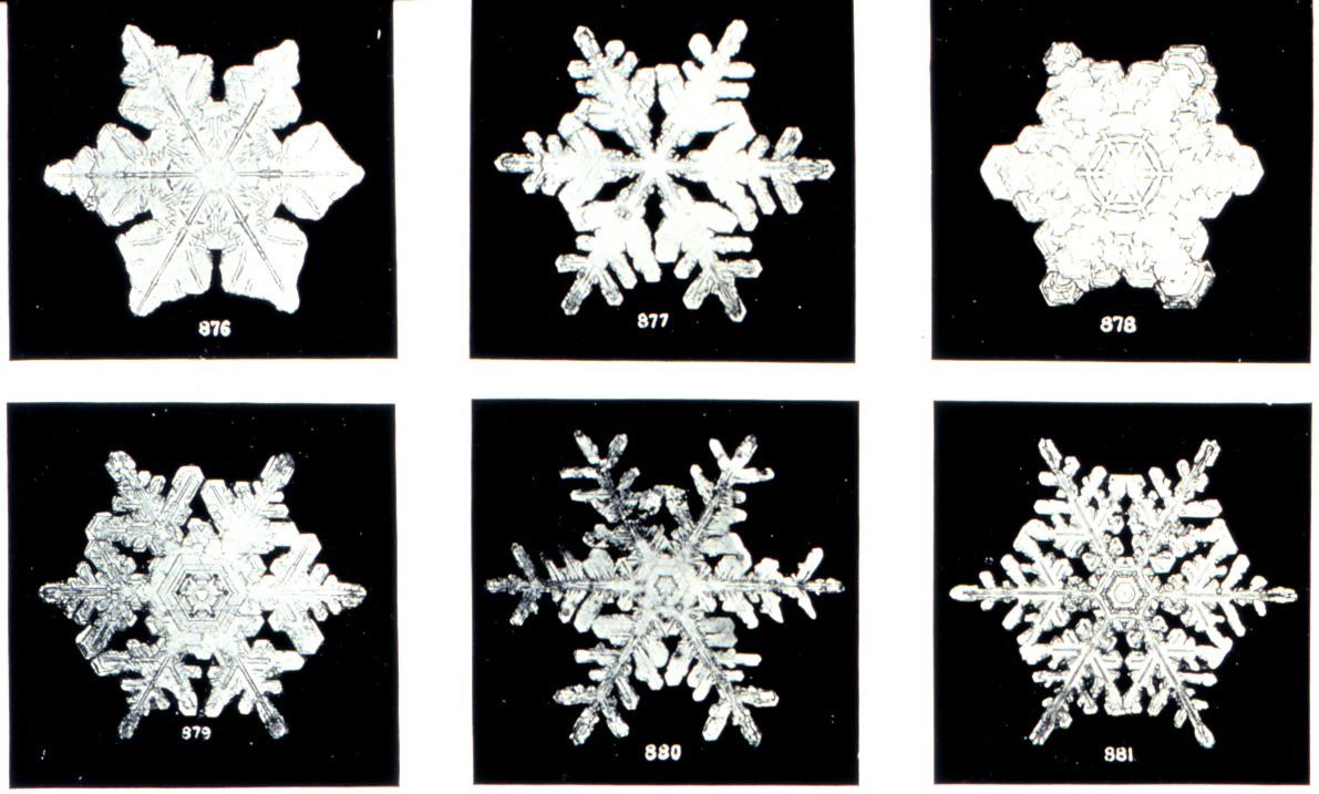 Why snowflakes come in beautiful, different shapes