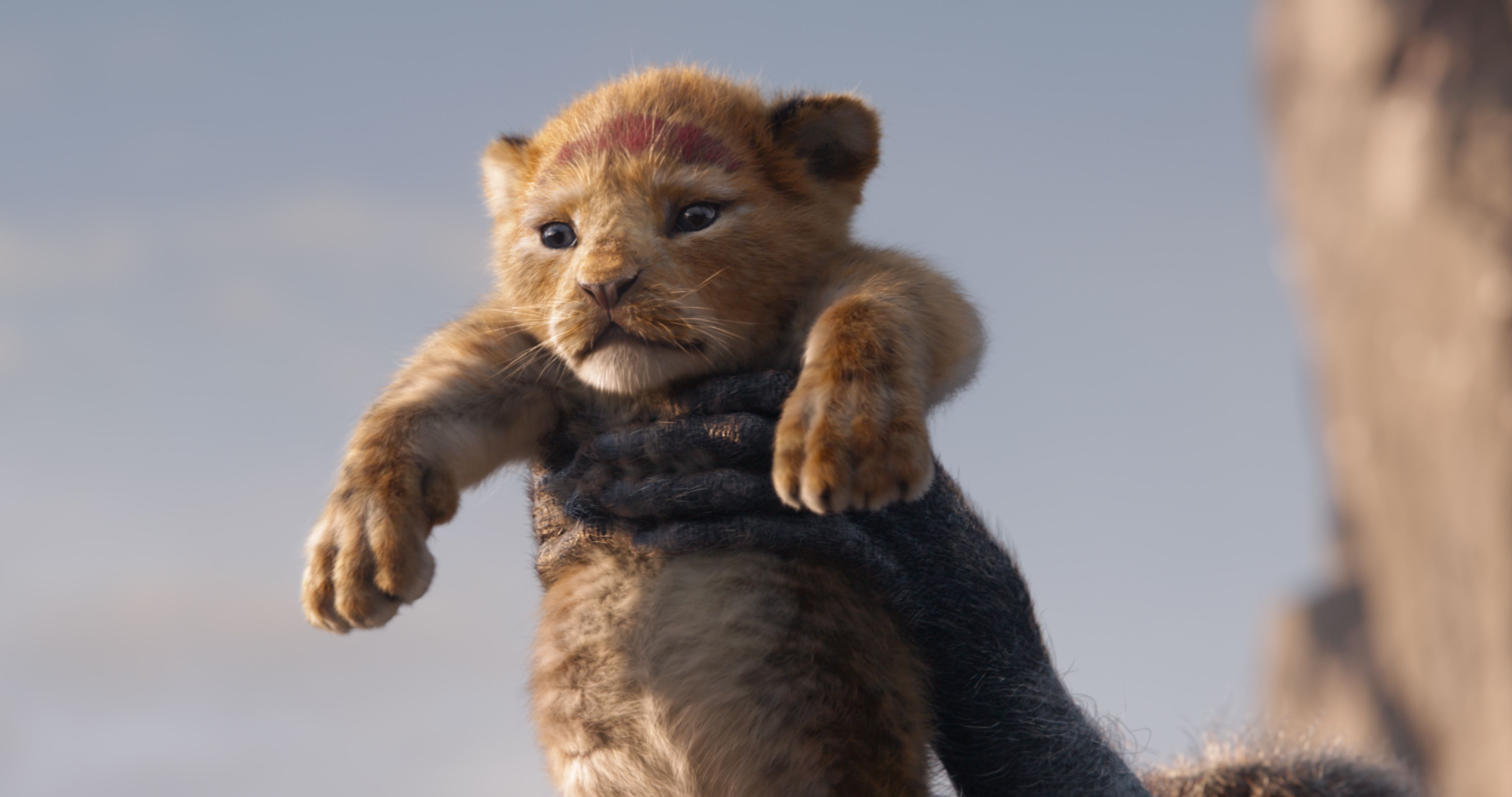 Review: Disney's new version of 'The Lion King' brings a realistic look to  a familiar story