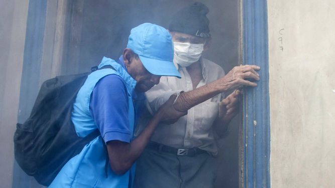 La Organización Mundial de Salud manifestó que el virus del Zika constituye  una emergencia internacional 