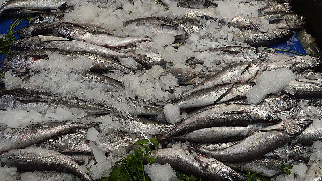 Caleta Portales con baja de Venta de Pescados