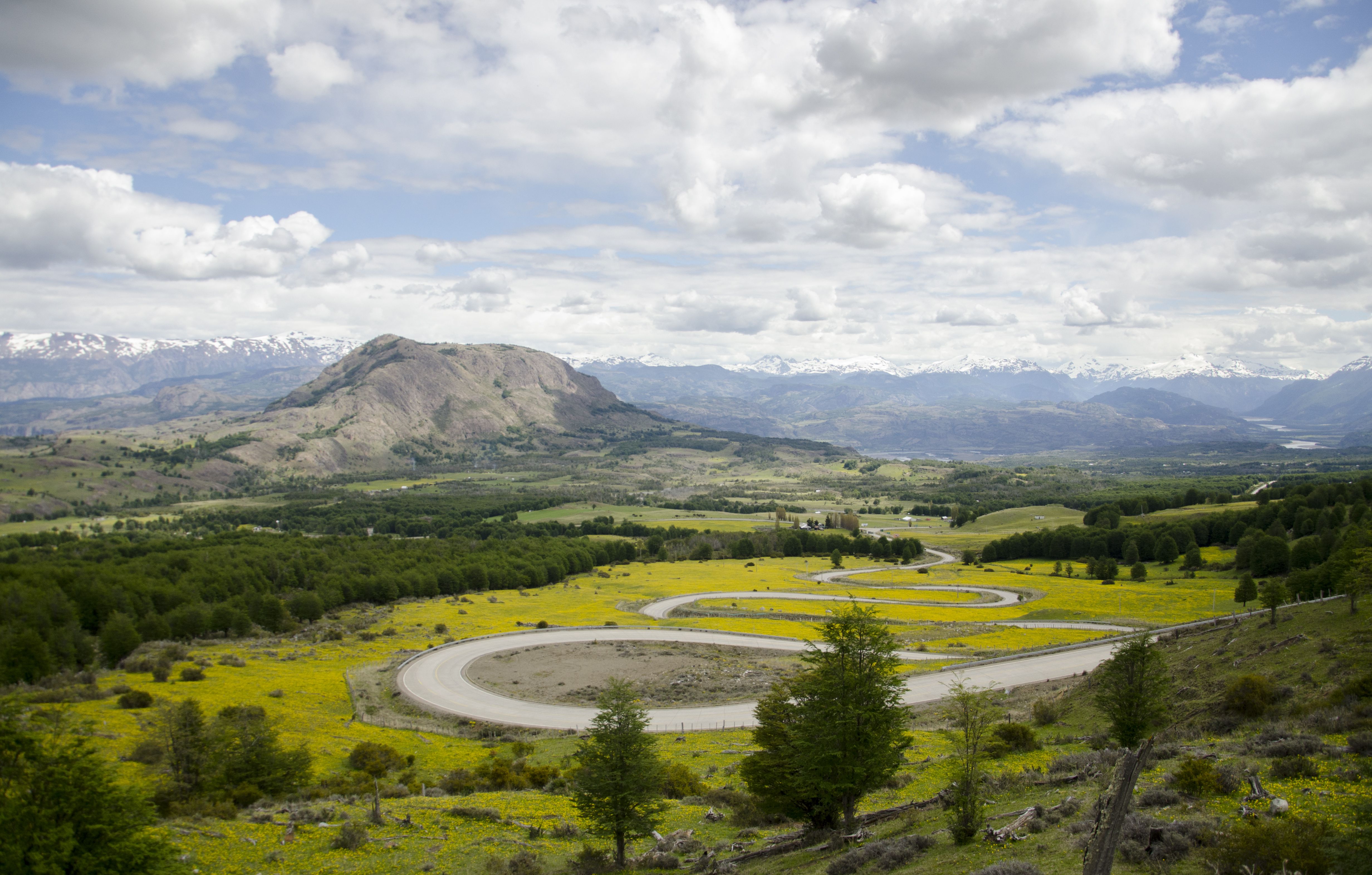 carretera_austral_Cuesta-del-diablo-florecida.jpg