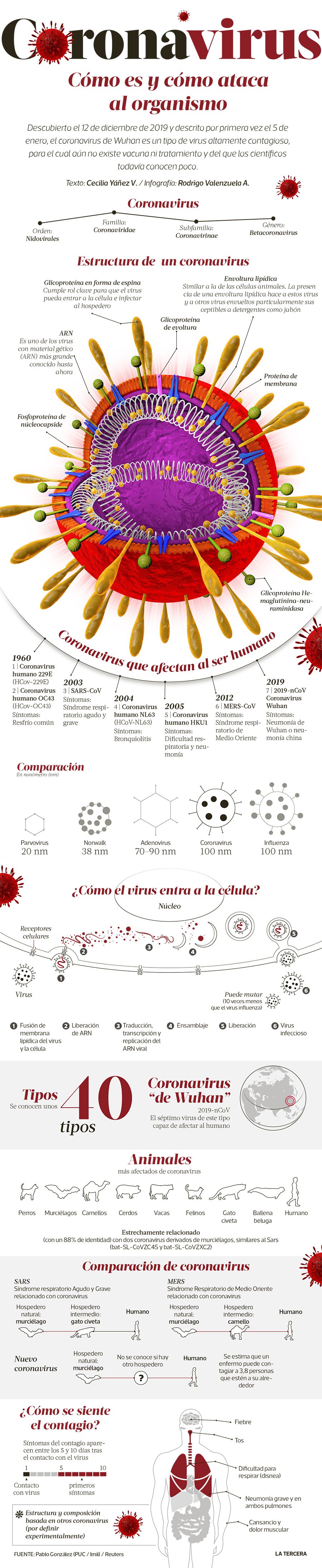 CT-Coronavirus.jpg