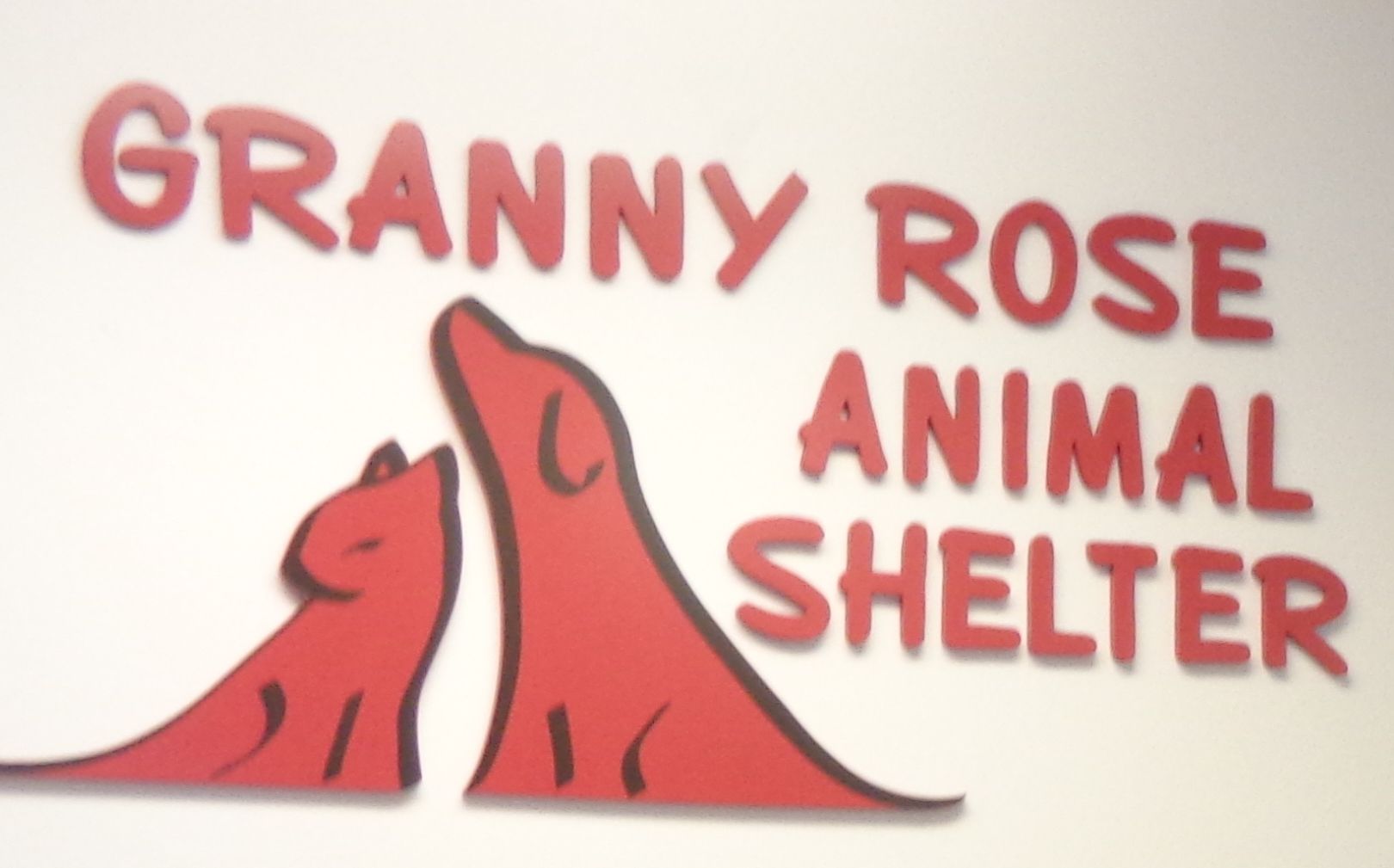 Granny rose animal shelter adoption