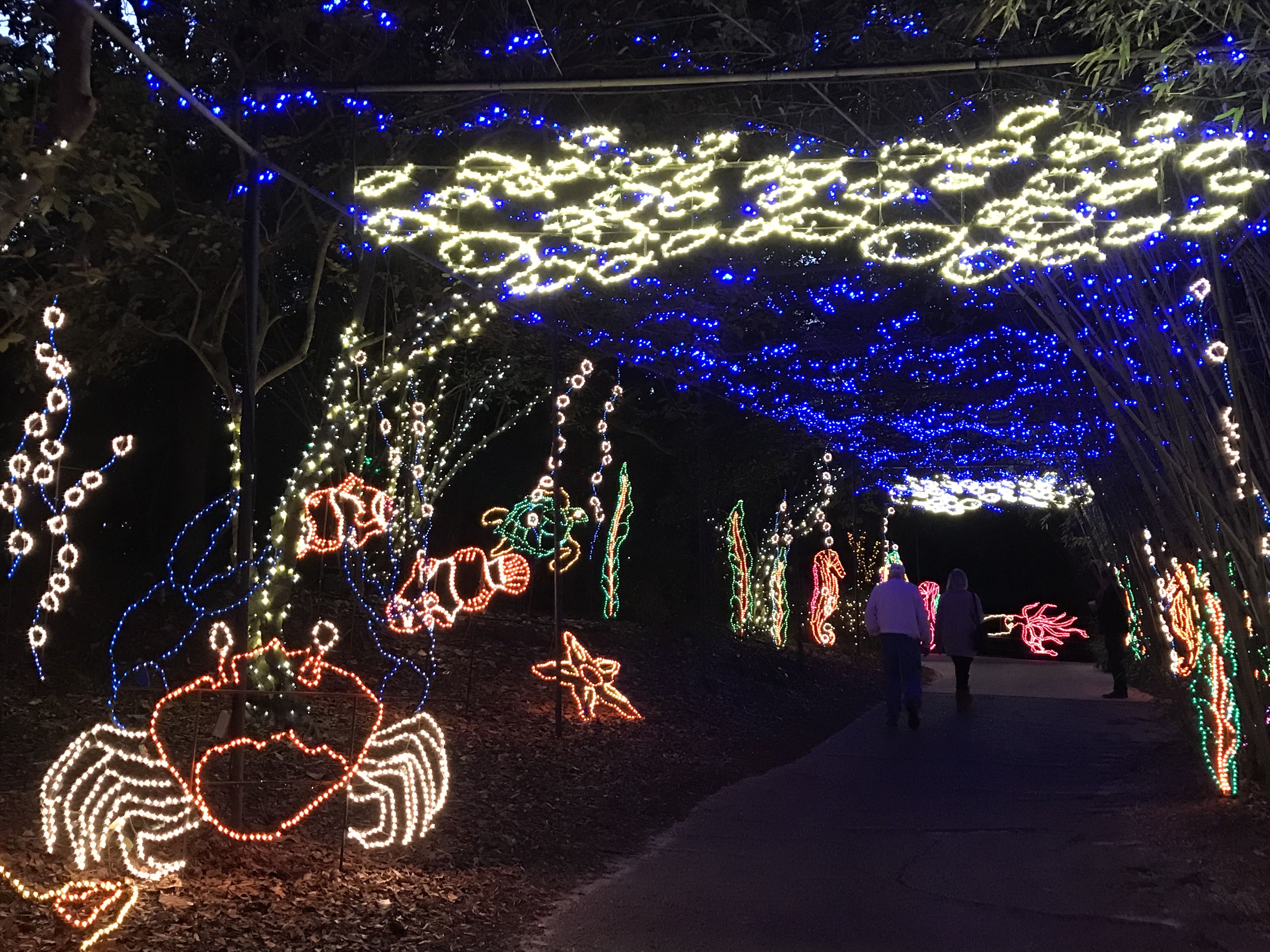 Time To Shine Bellingrath Readies For Magic Christmas In Lights