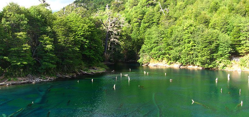 parque-nacional-conguillio