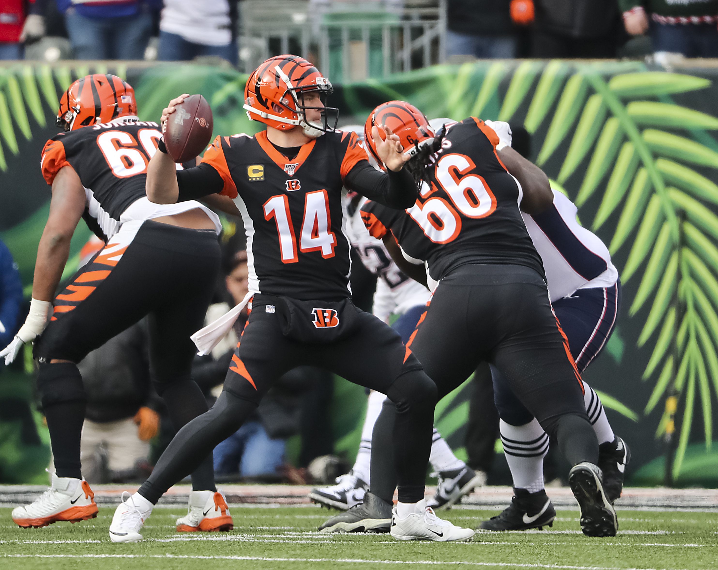 Bears sign QB Andy Dalton to one-year deal