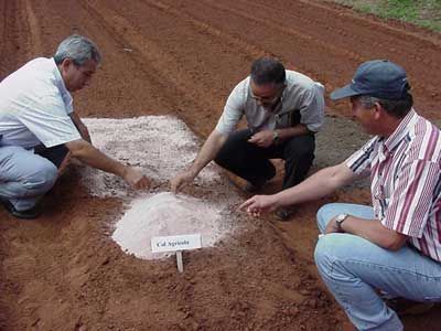 Dolomita Cal Agrícola Paraguay - El uso adecuado de cal agrícola es uno de  los componentes más importantes para un cultivo exitoso, ya que el exceso  de acidez en el suelo puede