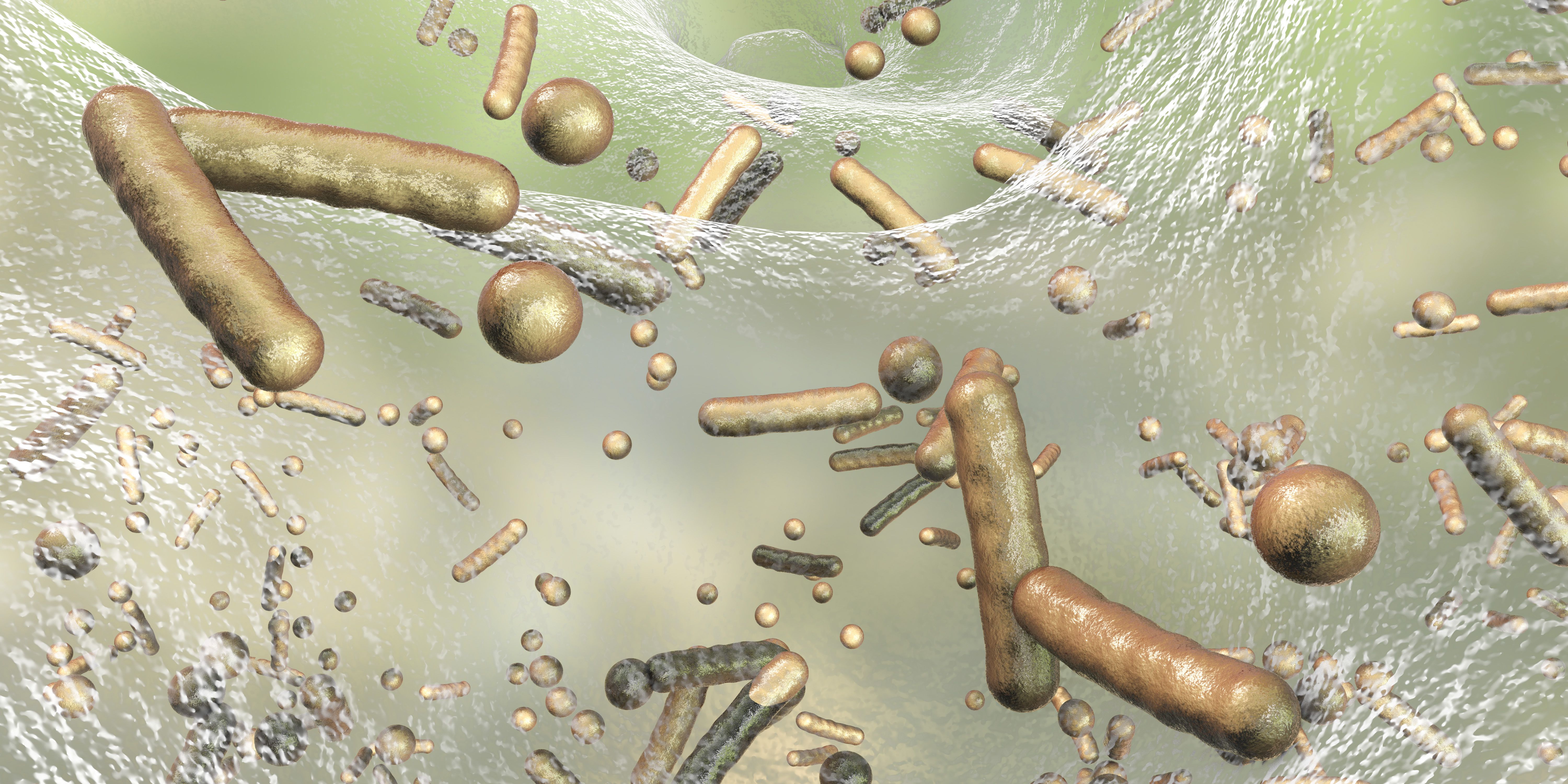 Extremely tough bacteria's resistance under the microscope