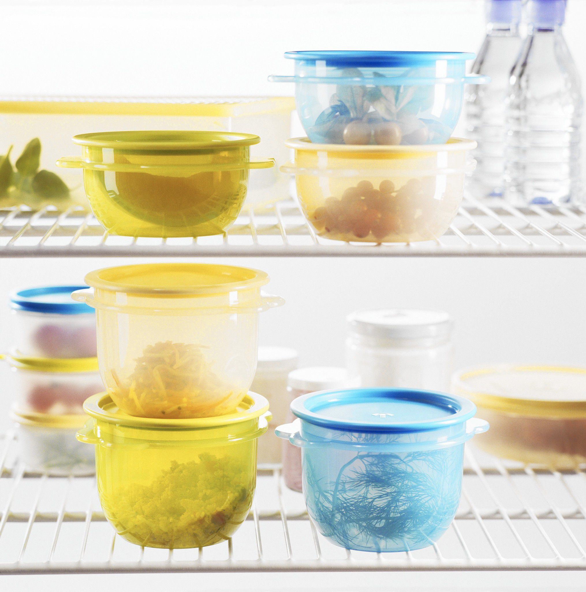 How to choose the right container for storing your leftovers
