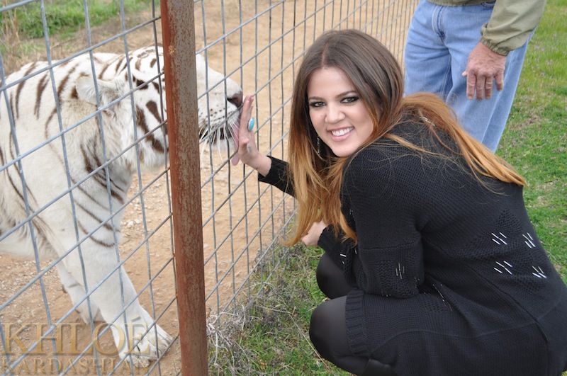 Kardashian-watching: Khloe's memorable trip to Exotic Animal Sanctuary
