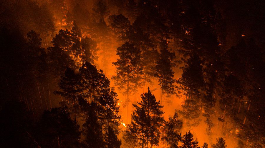 An aerial view shows a forest fire in Krasnoyarsk Region