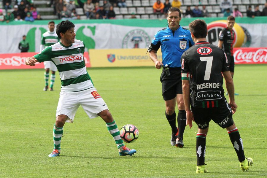 TEMUCO PALESTINO