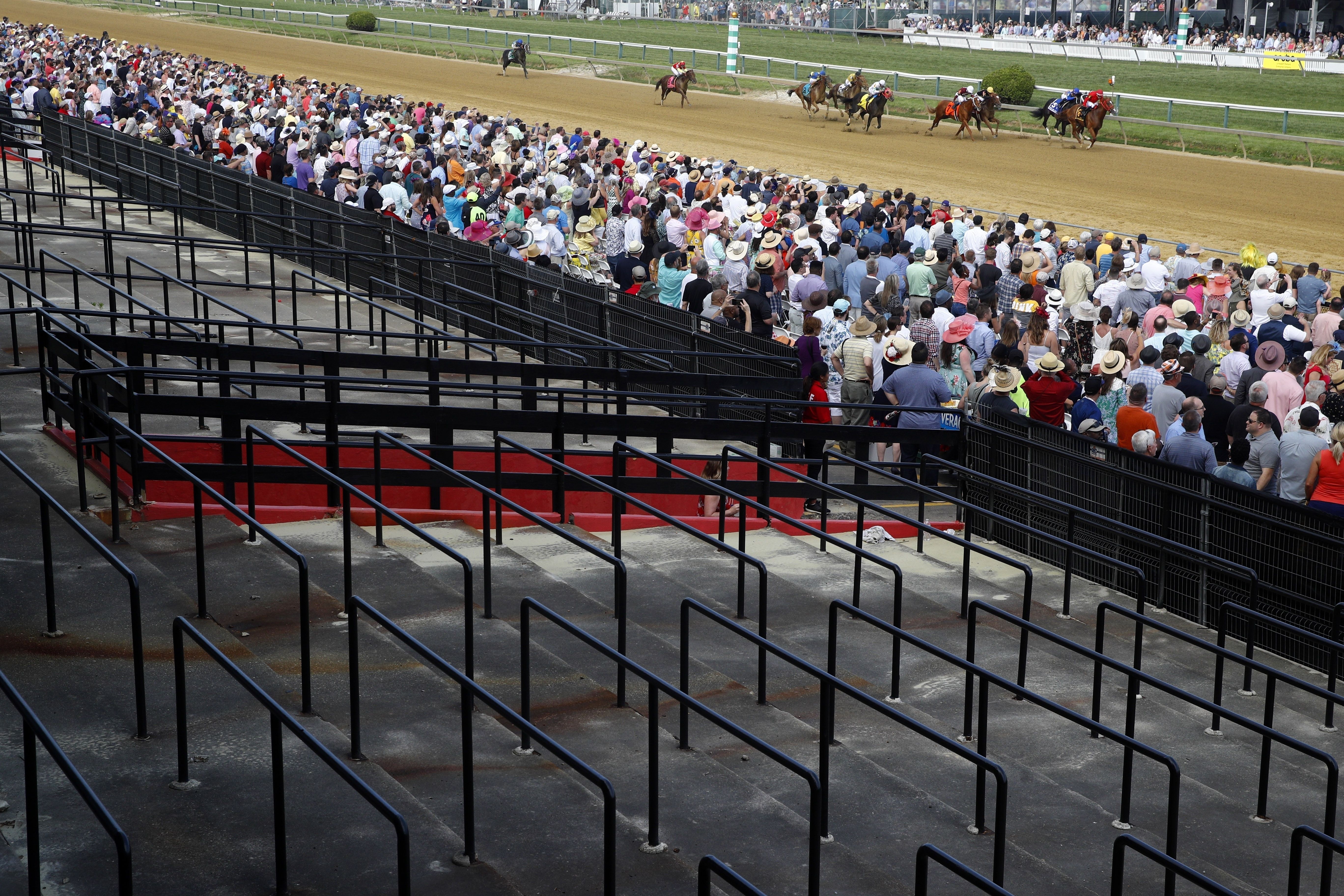 Marlins Man's latest appearance is at the Preakness Stakes 