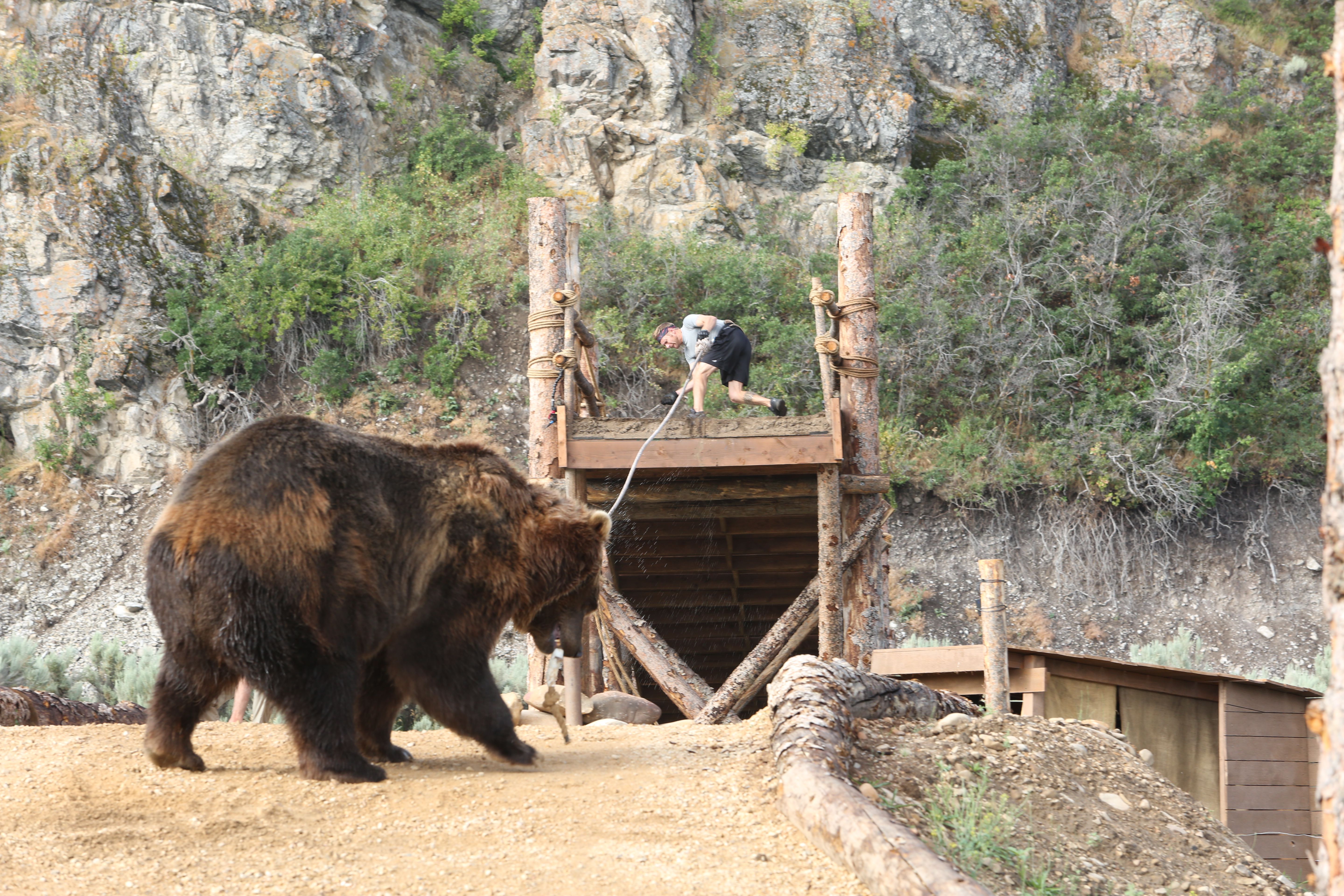 Oregon's Steve Taylor on competing in 'Man Vs. Bear' Discovery series: 'The  bears were the star of the show' 