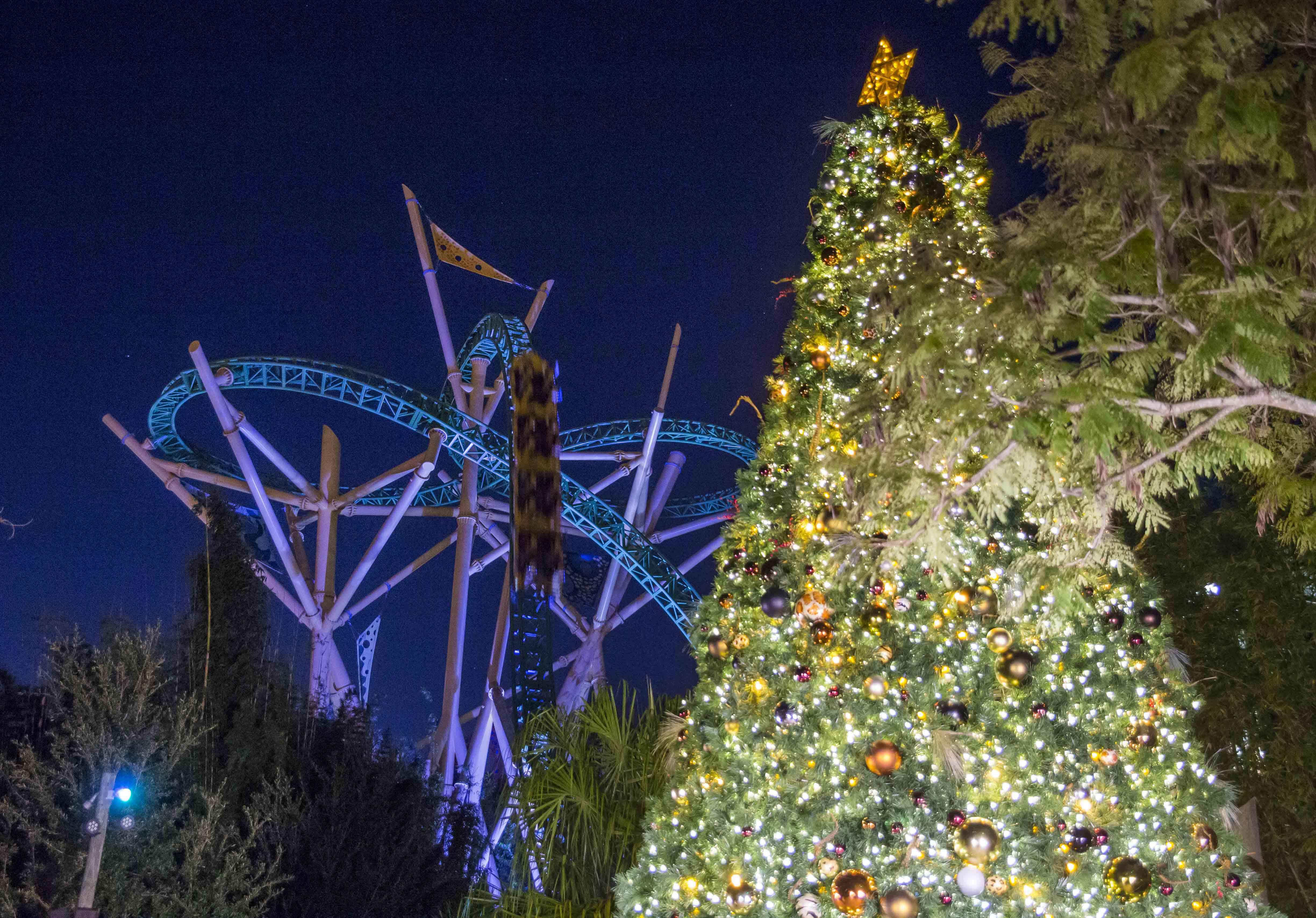 Woodland Hills Ice -Outdoor Ice Skating! in Woodland Hills, California -  Kid-friendly Attractions