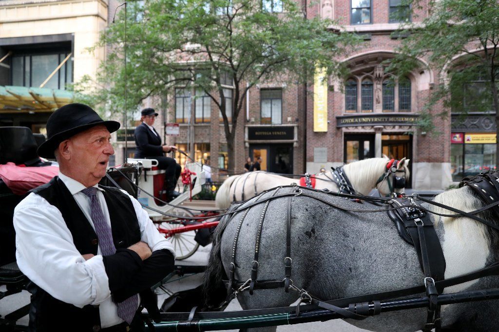 Chicago Bans Horse-Drawn Carriages Starting in 2021 - The New York