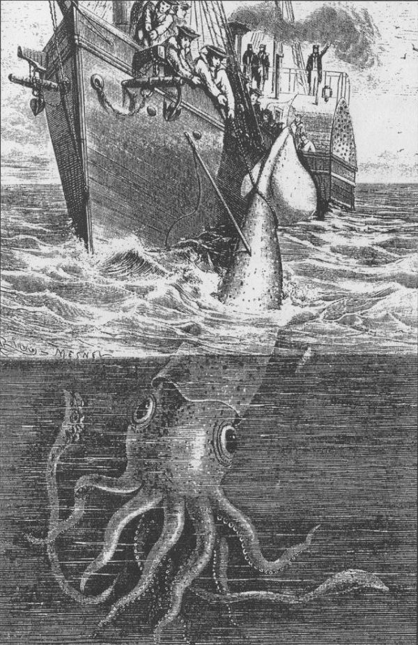 Alecton_giant_squid_1861.jpg