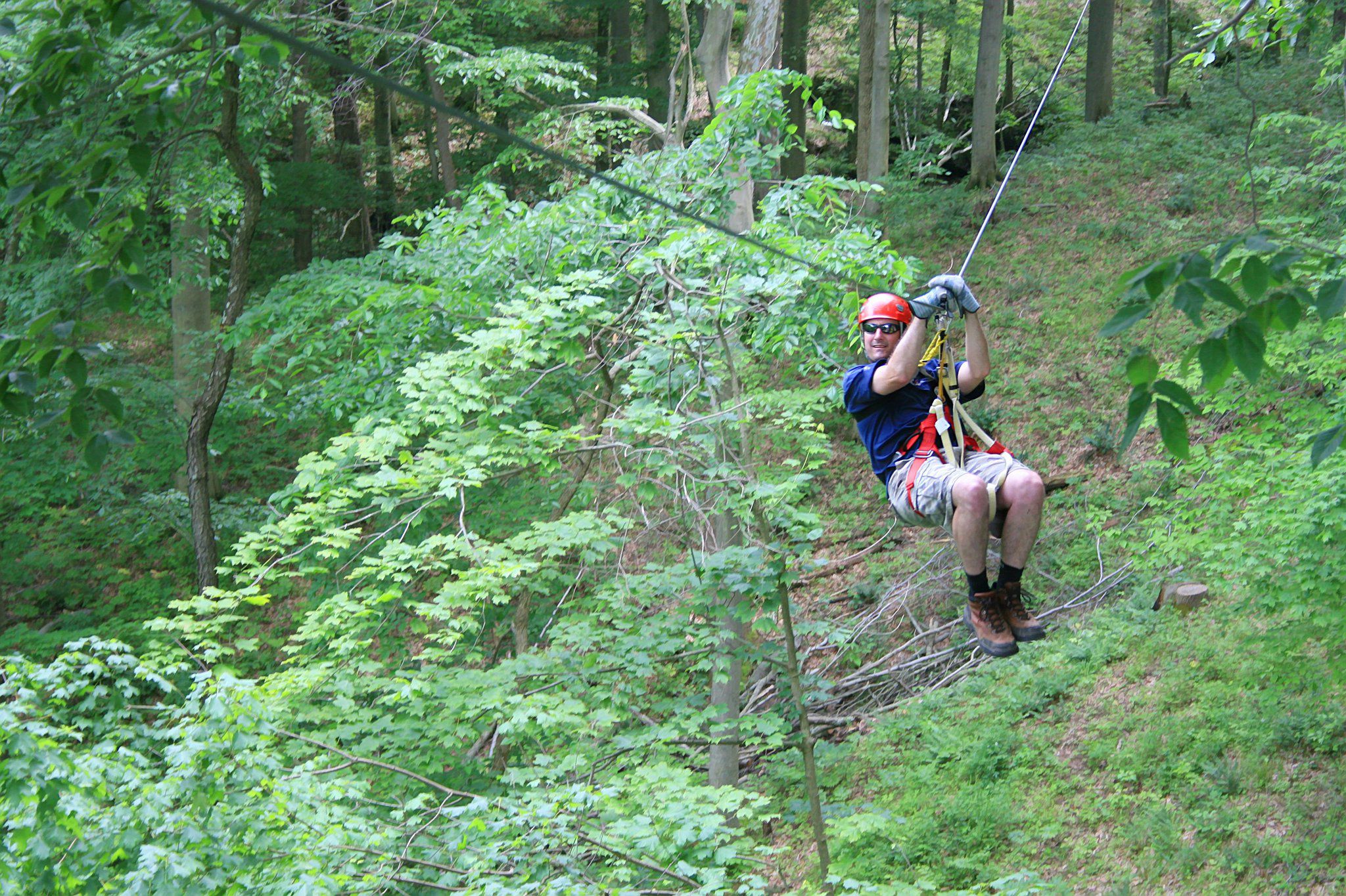 Ziplining Packages At Hocking Hills Canopy Tours (Up To 32%, 43% OFF