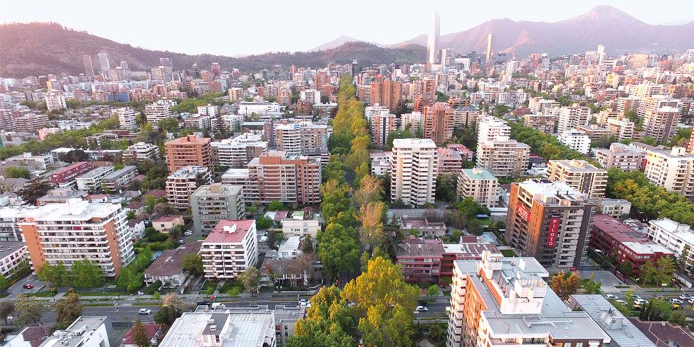 arboles en la ciudad