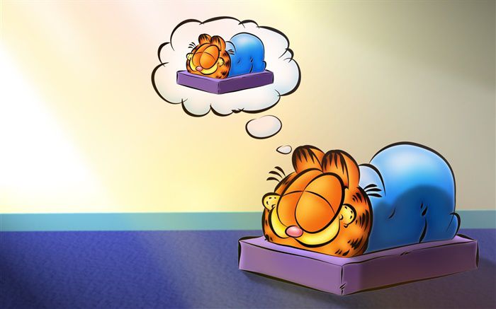 Garfield-sleeping-anime_m.jpg