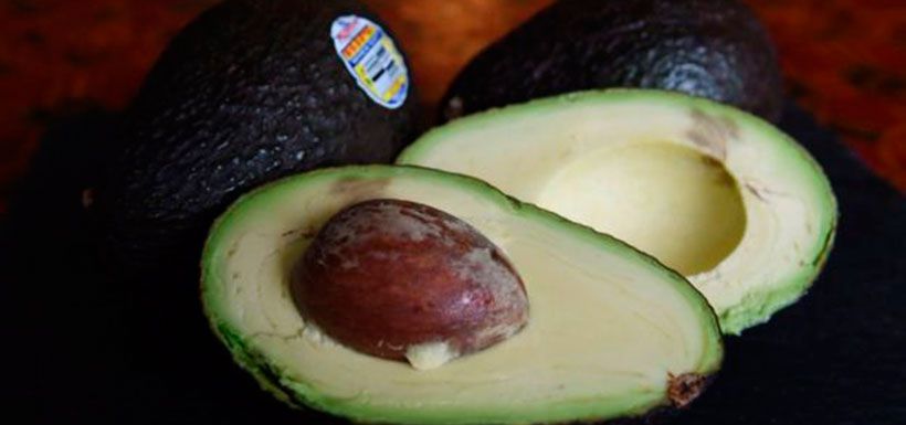 bbc-palta