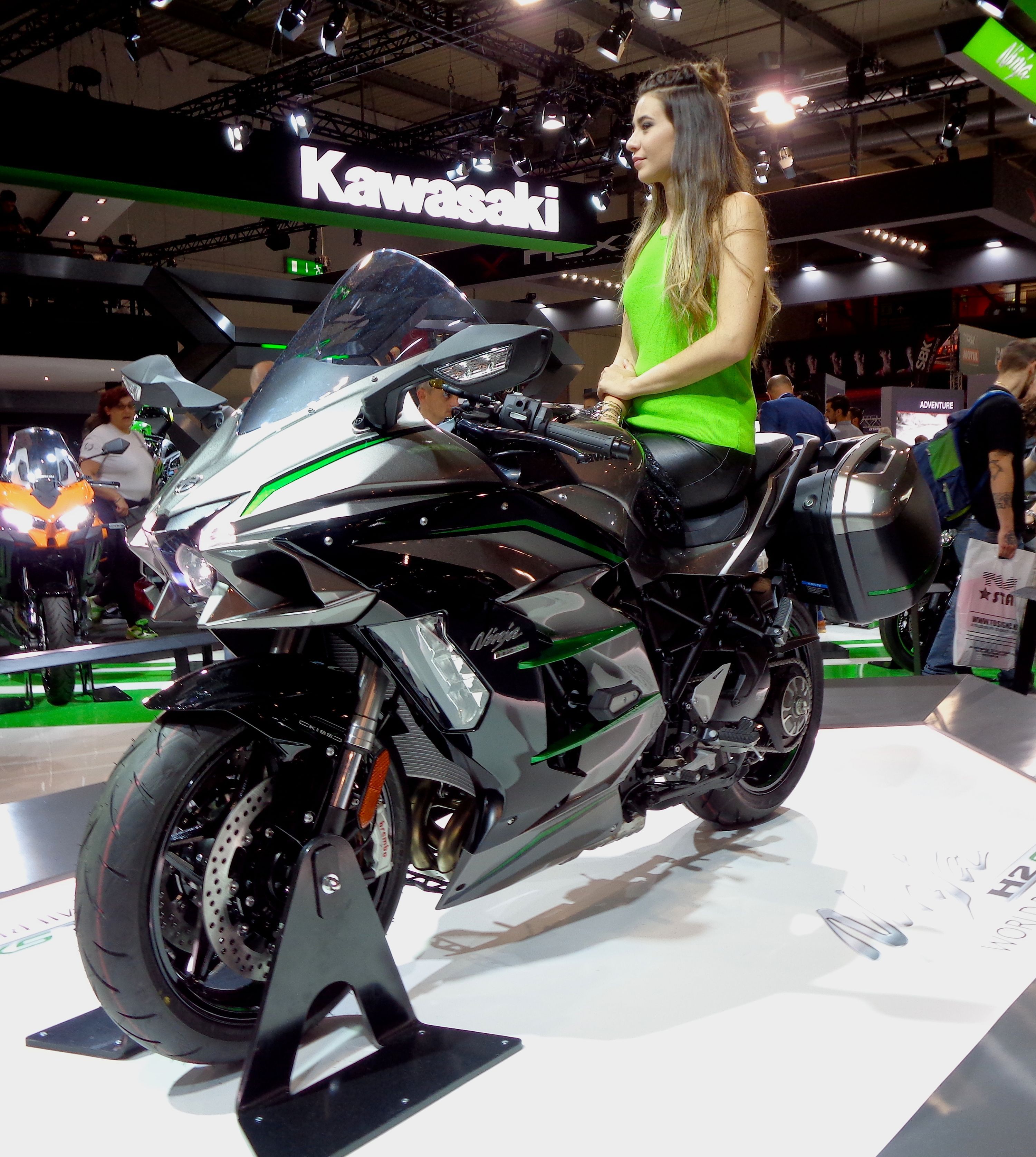 9.-Kawasaki-H2-SX-SE-1.jpg