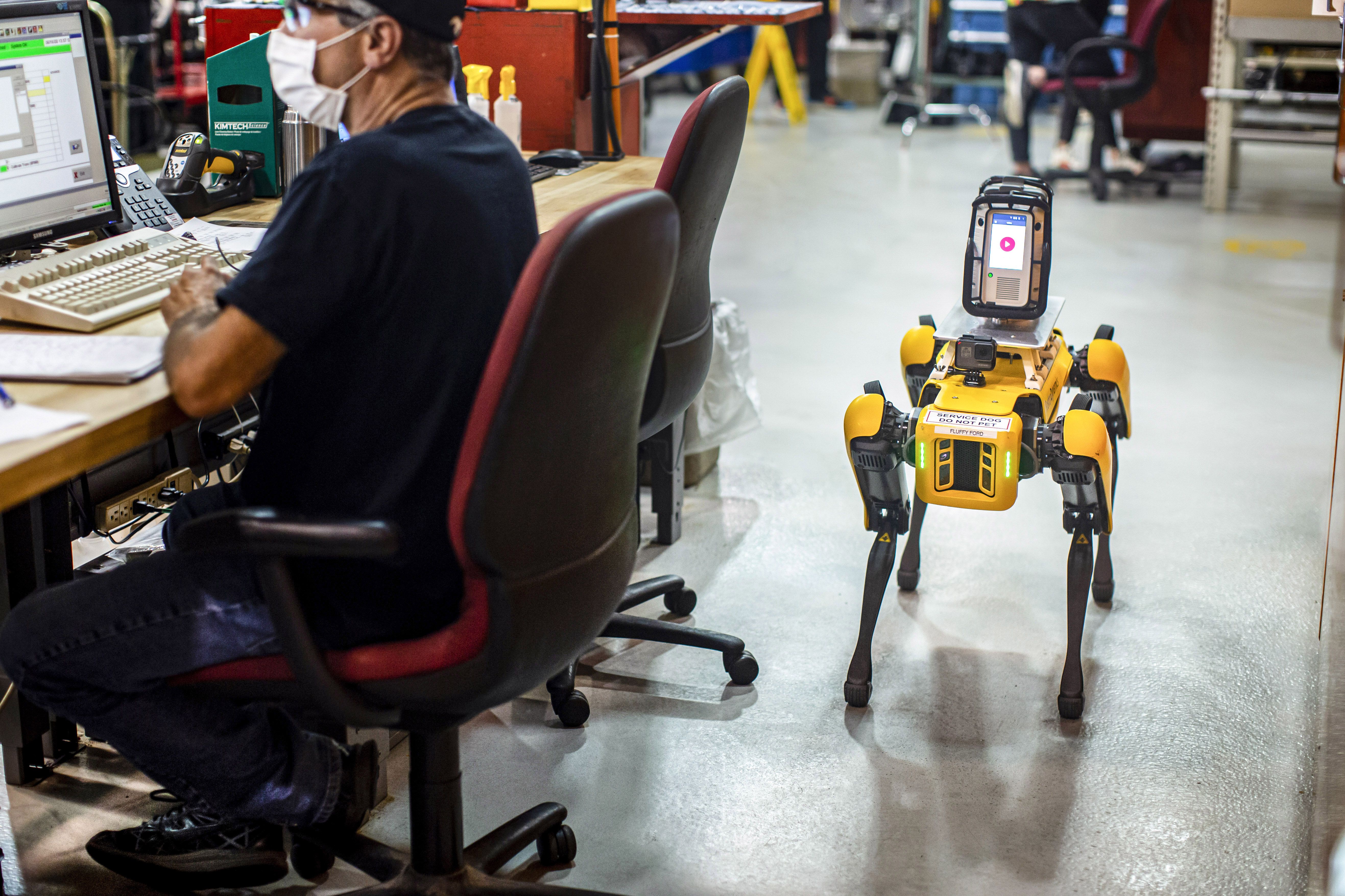 Perros robots de ford