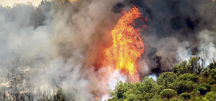 incendio pumanque